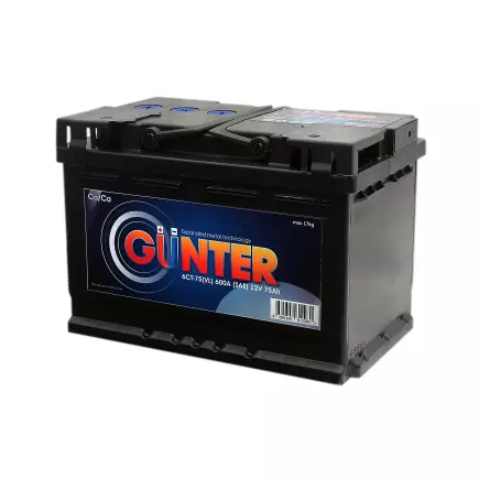 GUNTER - 75 (п.п.) GUNTER - 75 (п.п.)
