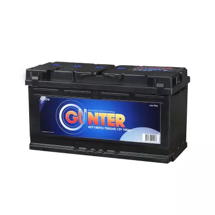 GUNTER - 100 (п.п.) GUNTER - 100 (п.п.)